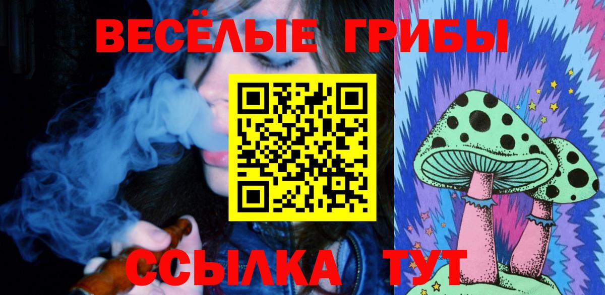 Галлюциногенные грибы прущие грибы Верхний Уфалей